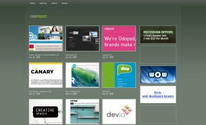 cssimport cssimport 300x182 Inspiring Design for Higher Ed